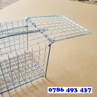 5 Lồng Bẫy Chuột cống nhum, ba lông, chuột đất