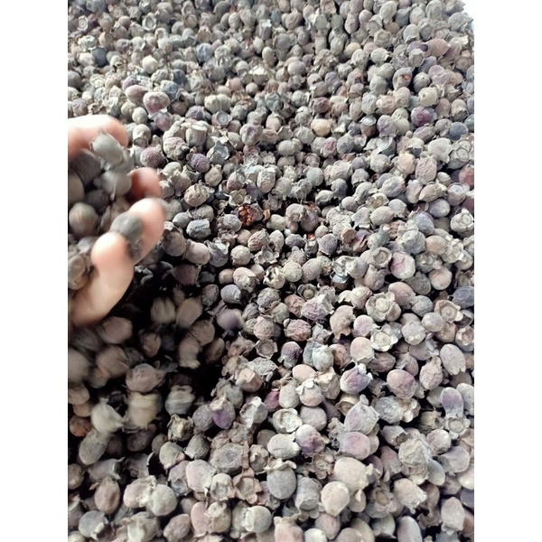 0.5kg Sim Rừng Chín Phơi Khô  Cực Ngon