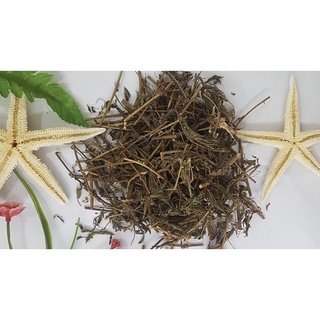 Cây xấu hổ khô nguyên chất, loại 1