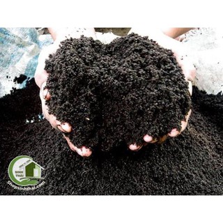 Phân hữu cơ trùn quế Bi Green dùng cho rau sạch và cây kiêng