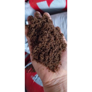 Giá thể ươm hạt Klasmann TS2 / Peat Moss ( gói chia lẻ 2dm3)