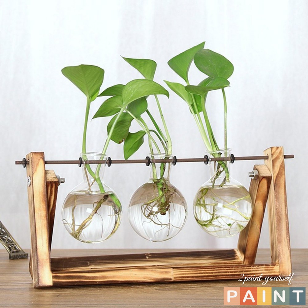 Bình thủy tinh trồng cây thủy canh khung gỗ để bàn, phụ kiện decor chụp ảnh 2Paint