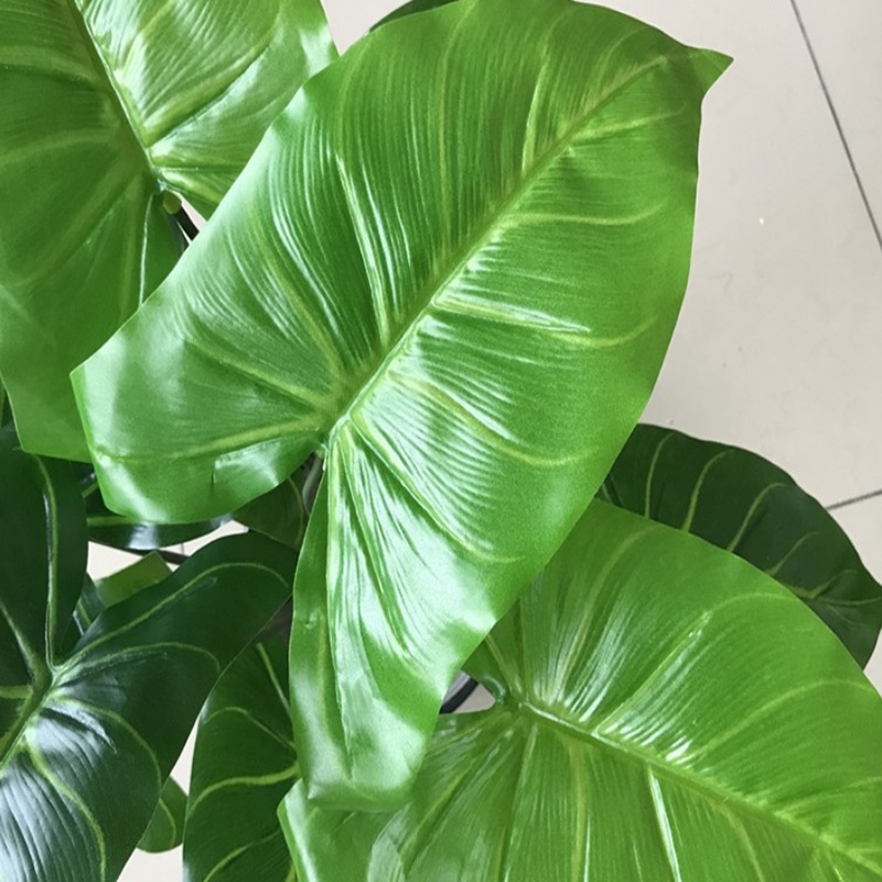 Cây Giả - Cây trầu bà, vạn niên thanh (không kèm chậu) 12 lá cỡ 54 cm trang trí không gian gia đình, văn phòng...