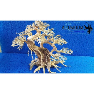 Cây Bonsai cho hồ cá size lớn