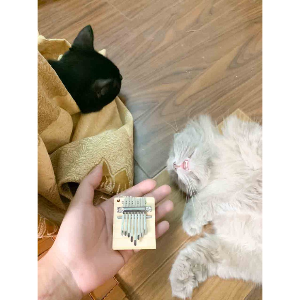 Kalimba Mini 8 Phím Siêu Mi Nhon, Làm Móc Khóa Và Chơi Được