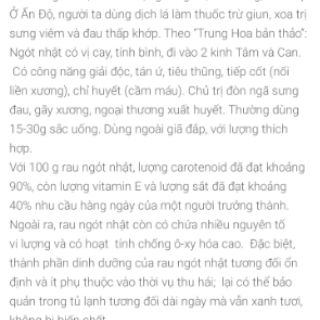 Cômbo 22 cây rau ngót nhật