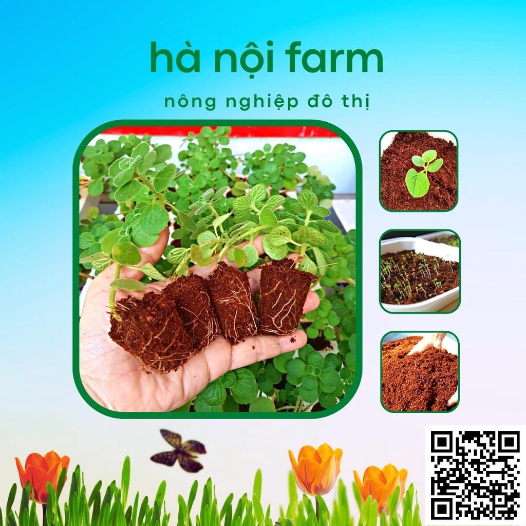 Viên nén xơ dừa, Đất nén xơ dừa tơi xốp trồng rau mầm - 500g