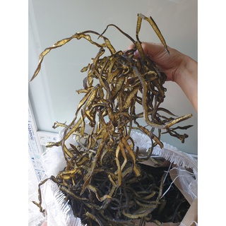 Tảo Xoắn Chile 500gr