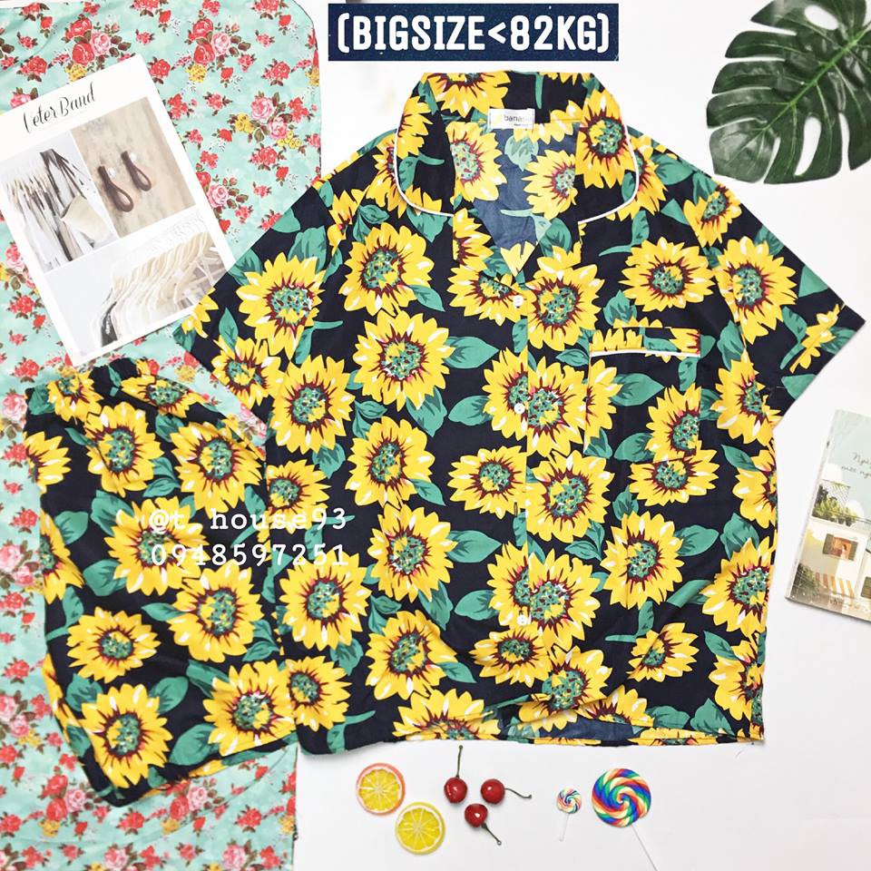 ĐỒ BỘ BIGSIZE KATE THÁI