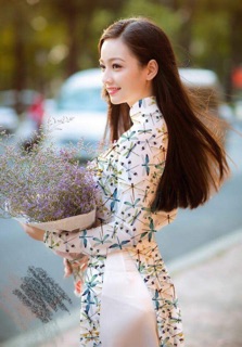 Vải chuồn chuồn