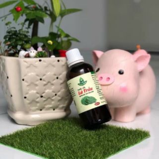 Nước cất lá trầu