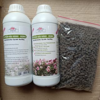 Tặng 1kg phân nhật khi mua 2 chai Đậu nành ủ HUMIC trứng chuối lên men