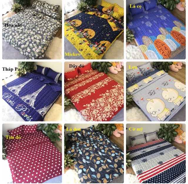 Bộ ga gối poly cotton m6/m8 ( được chọn mẫu) | BigBuy360 - bigbuy360.vn