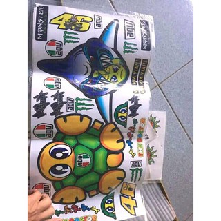 tem lẻ rùa cá mập