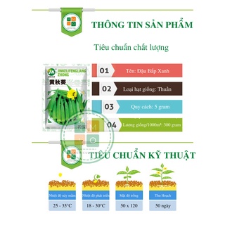 Hạt giống đậu bắp xanh