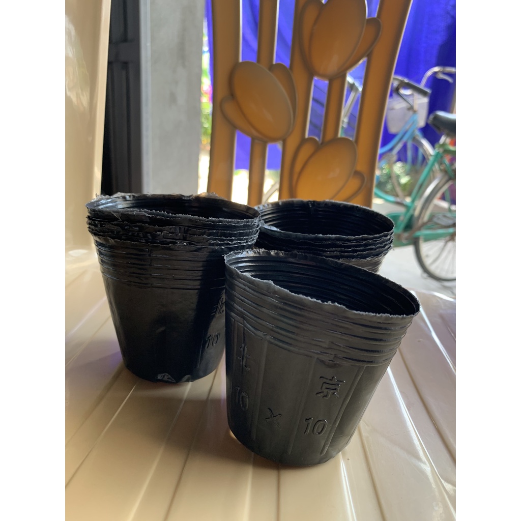 BẦU ƯƠM CÂY 10*10 ( DỊCH TRUYỀN CHO CÂY, KÍCH RỄ , MẦM CÂY XANH LÁ, LƯỚI CHE NẮNG...)