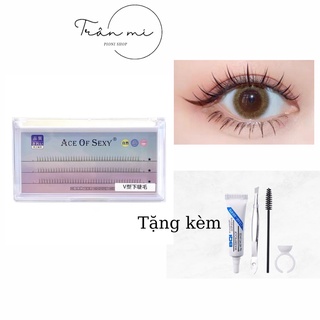 Mi dưới chữ V
