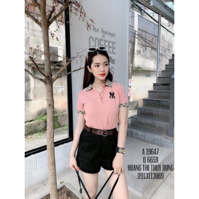 [SIÊU HOT] Áo phông nữ cổ đức chất đẹp ,Áo thun cổ bẻ 💗 áo thun cổ trụ chất vải borip đẹp  ྇ ea