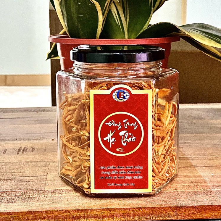 Đông Trùng Hạ Thảo Khô 10gram