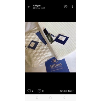 Xả Kho Gối Hilton Loại thời thượng Nhất SHOP BENA deal Sock