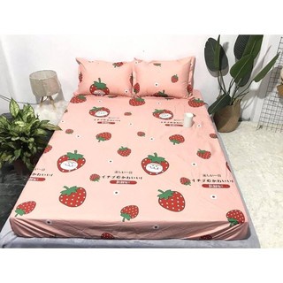 Ga Trải Giường Mây Xanh, Ga Nệm Drap Giường M2 M6 M8 Đủ Họa Tiết - HappyBedding (Bo Chun Miễn Phí)