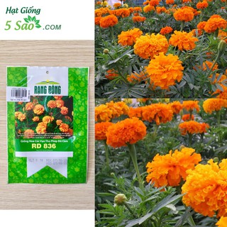 VẠN THỌ PHÁP ĐỎ CAM RĐ 836 (1gr)