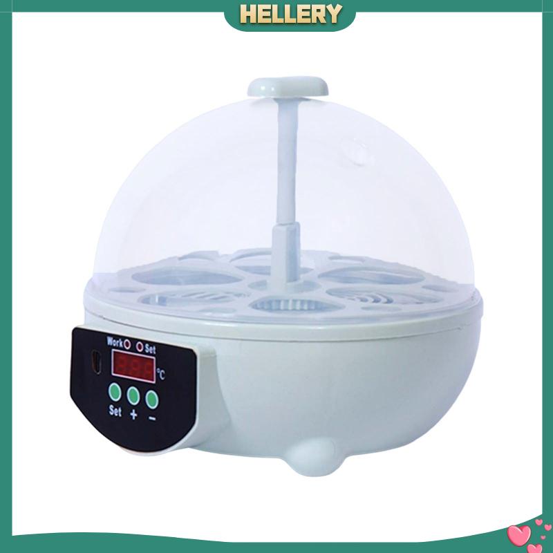 Lồng Ấp Trứng 6 Ngăn Kỹ Thuật Số Điều Khiển Nhiệt Độ