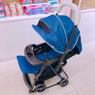XE ĐẨY BẬP BÊNH CAO CẤP