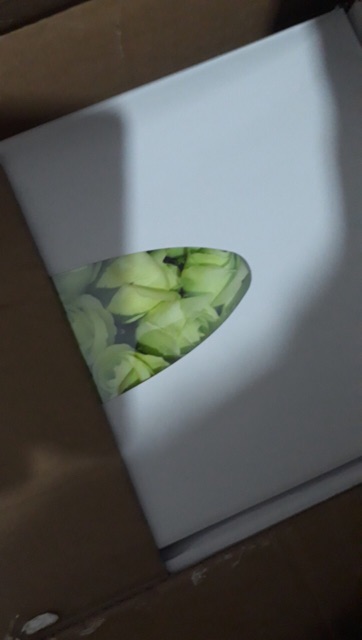 Hoa sáp 3 lớp 100k/ hộp | BigBuy360 - bigbuy360.vn