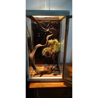 Chuồng nuôi bò sát gỗ ghép và mica kb9 d35 r25 c50cm