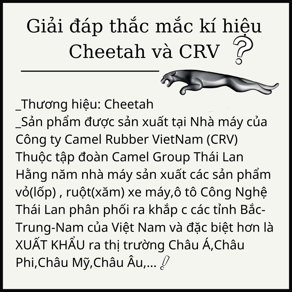 VỎ CHEETAH GAI MŨI TÊN NGÔI SAO VÀ GAI RAIDER (Dòng vỏ có ruột)