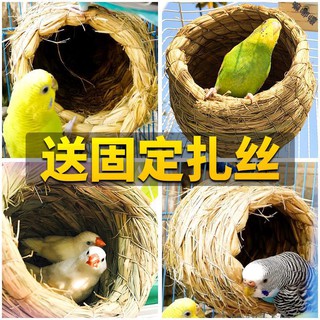 Tổ đan rơm cho vẹt cưng
