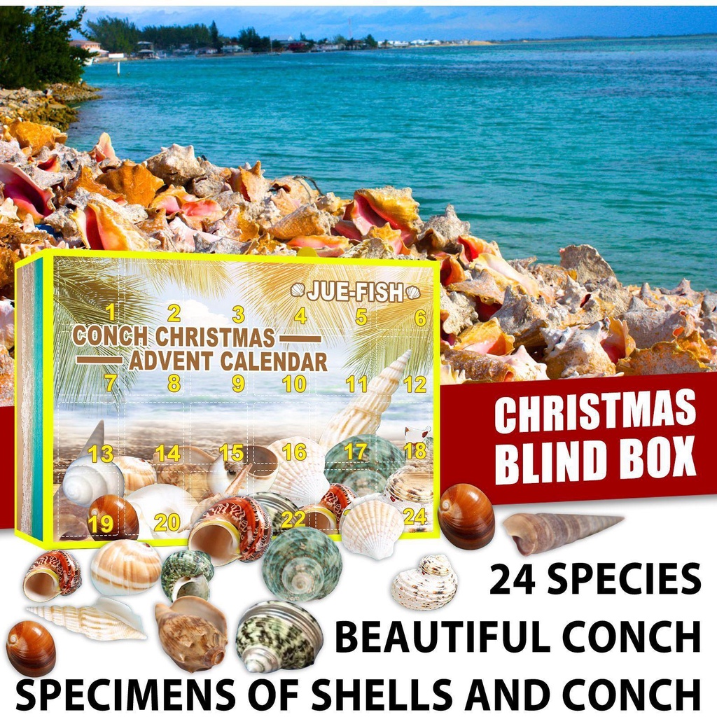 YOLA Hộp Đồ Chơi Lịch Năm Mới Thiết Kế Dễ Thương Cho Bé