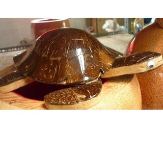 Con rùa làm từ gỗ và gáo dừa ý nghĩa tài lộc trong phong thủy 27 x 19 cm