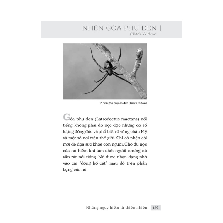 Sách - Những Nguy Hiểm Từ Thiên Nhiên - TRẺ