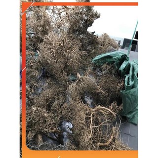 Lũa Xương Chùm 100g/30k 1kg