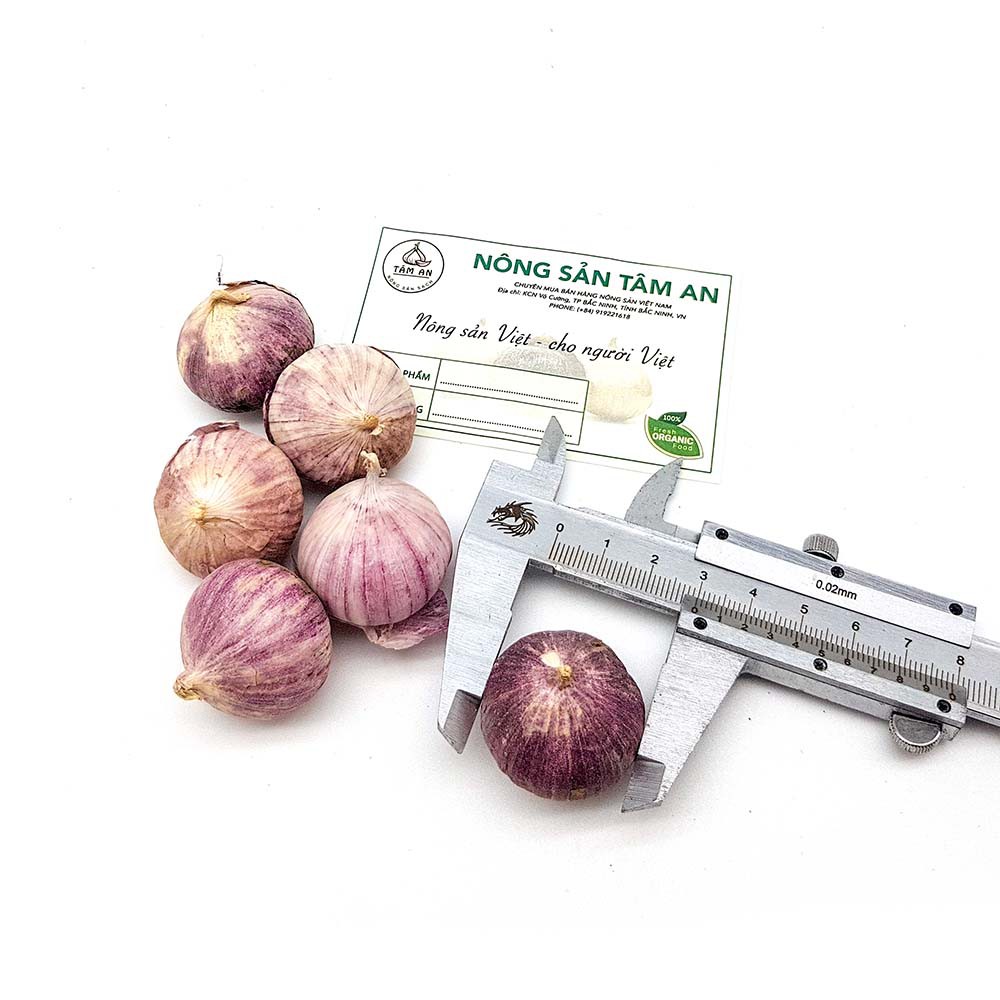 1kg tỏi cô đơn loại trung. Tặng 1 hộp tỏi đen cao cấp khi mua 5kg | BigBuy360 - bigbuy360.vn