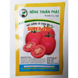 HẠT GIỐNG CÀ CHUA LAI F1 SUPER 390 - 5G - NÔNG THUẬN PHÁT