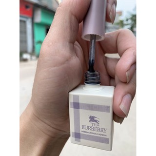 Top lông hót (hàng chính hãng)