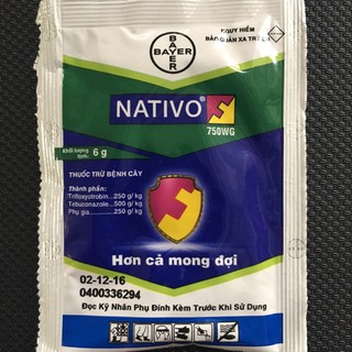 Thuốc trừ bệnh NATIVO 750WG nhập khẩu-  chuyên dụng.