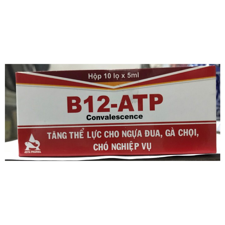 B12 ATP [hộp 10 lọ x 5ml] Tăng thể lực gà đá, ngựa đua.