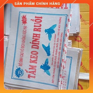 Combo 50 tấm keo dính ruồi Siêu dính