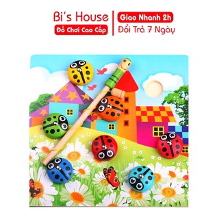 Bộ câu bọ dừa