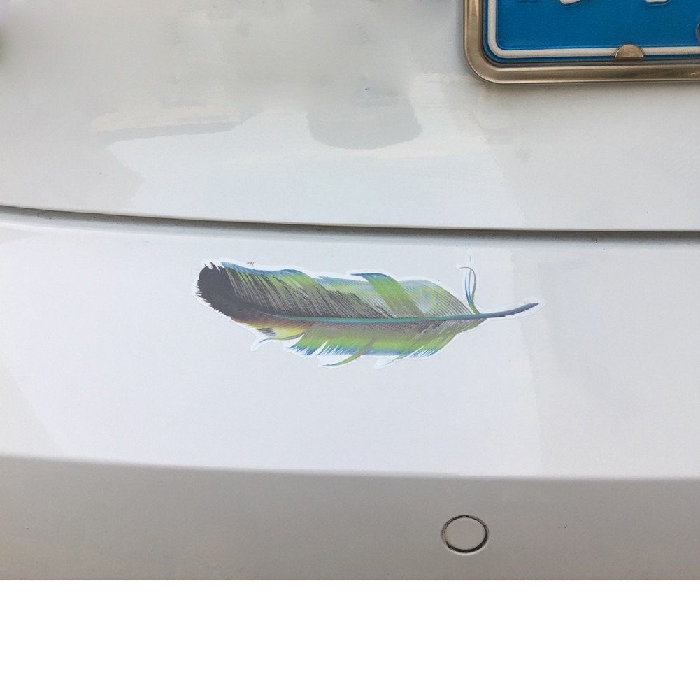 Set đề can dán xe hơi trang trí họa tiết lông vũ nhiều màu sắc