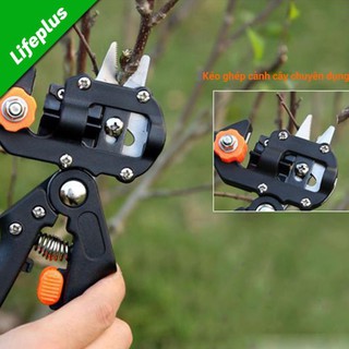 KÉO CHIẾT GHÉP CÀNH CÂY
