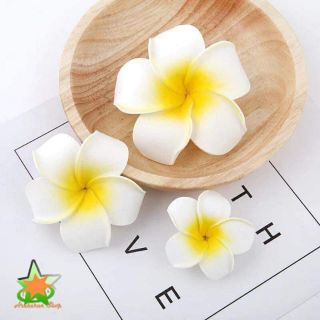 Hoa đại cài tóc