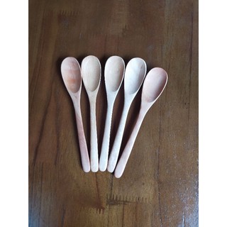 Thìa xúc giá vị kt 15*2,5 cm
