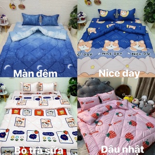 Set chăn phao ga gối poly