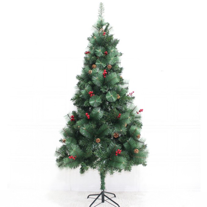 Cây thông cao 1.2m hai loại lá dày rậm hàng cao cấp