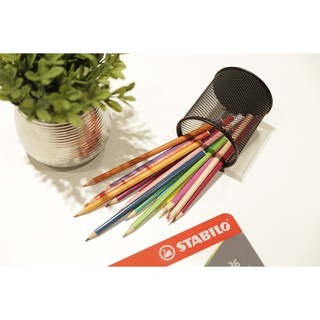 Bút Chì Màu Stabilo Aquacolor (36 Màu)